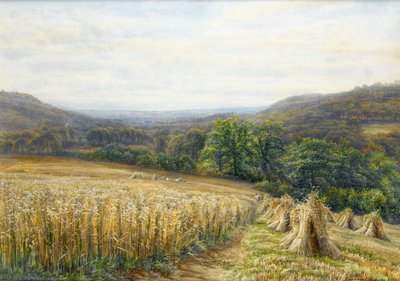 Temps de récolte près d