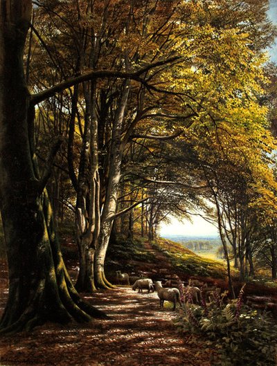 Moutons broutant dans une clairière forestière - Edmund George Warren