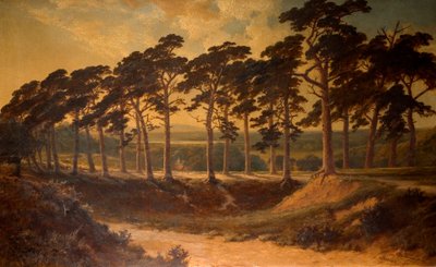 Harrow depuis le First, Hampstead Heath, 1875 - Edmund John Niemann