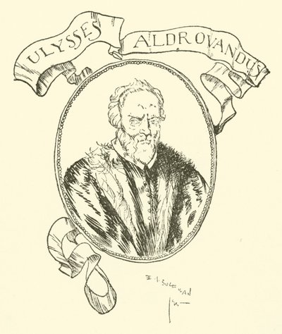 Ulysse Aldrovandi - Edmund Joseph after Sullivan