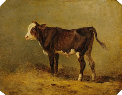 Veau - Edmund Mahlknecht