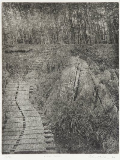 Traînée de lumière, 1994 - Edouard Cremieux