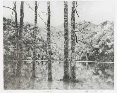 Sai-no-Ko, 1992 - Edouard Cremieux