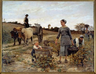 Coin de vigne en Languedoc. Peinture d