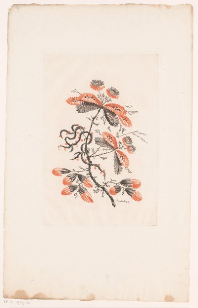 Fleurs et boutons (Fleurs Idéales) - Edouard Gautier Dagoty
