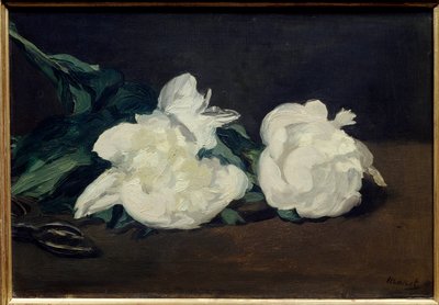 Branche de pivoines blanches et sécateur - Édouard Manet