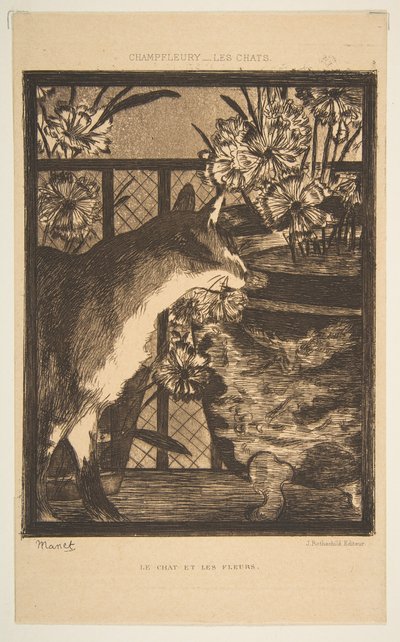Chat et fleurs. Illustration pour Les Chats de Champfleury, 1869 - Édouard Manet