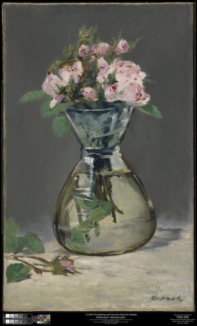 Roses mousseuses dans un vase - Édouard Manet