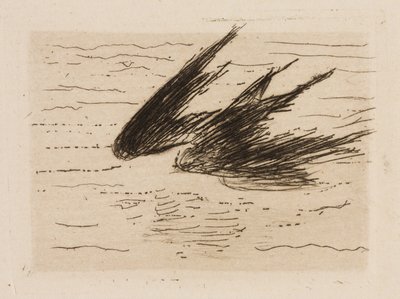 Hirondelles, planche 8 du Fleuve - Édouard Manet