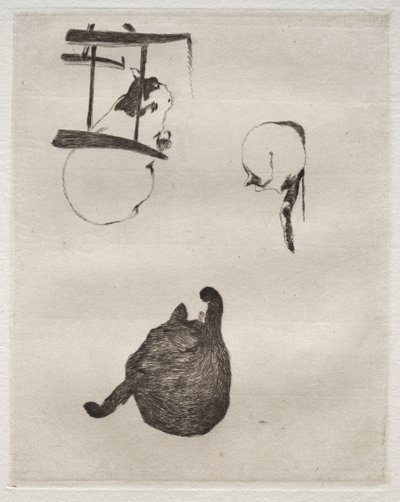 Les chats - Édouard Manet