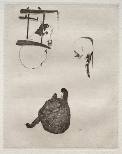 Les Chats, 1868-1869 - Édouard Manet