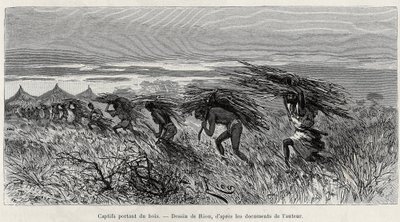 Captifs portant du bois dans la brousse (illustration de Du Niger au golfe de Guinée par le capitaine Louis Gustave Binger, 1887-1889, dans Le tour du monde) - Edouard Riou