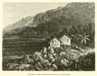 Hacienda et plantation de cacao de Tian-tian - Edouard Riou