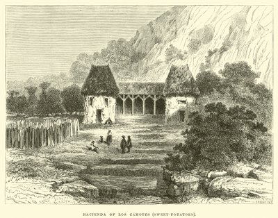 Hacienda de Los Camotes, patates douces - Edouard Riou