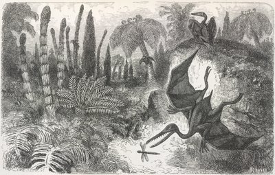 Paysage de la période liasique. Illustration représentant un ptérodactyle - Edouard Riou