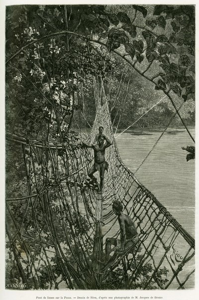 Pont de liane sur le Passa. Gravure par Riou, pour illustrer l