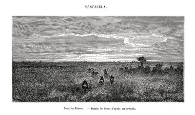 Los Llanos, Venezuela, 19e siècle - Edouard Riou