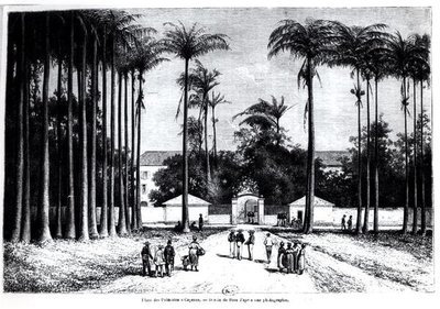 Place des Palmistes, Cayenne, Guyane - Edouard Riou
