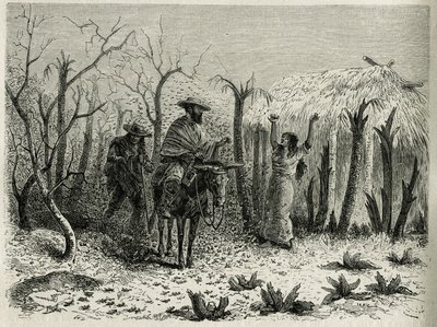 Les nuages de sauterelles de la vallée du Haut Patia, avec sur sa mule le narrateur du voyage (illustration de l