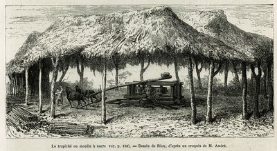 Le trapiche, ou moulin à sucre pour broyer les cannes à Panche (Colombie), dessin de Riou, pour illustrer l