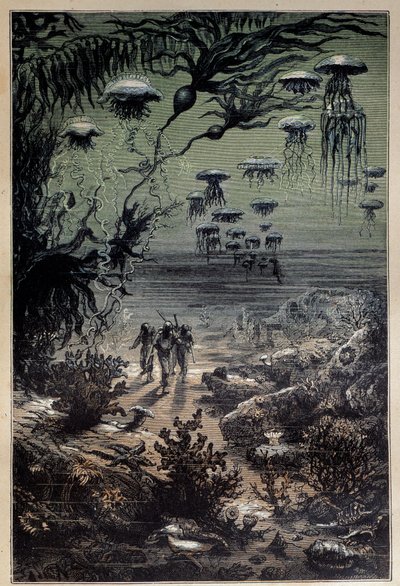 Sol sous-marin. Illustration par Edouard Riou pour le roman "Vingt mille lieues sous les mers" de Jules Verne 19ème siècle Collection privée - Edouard Riou