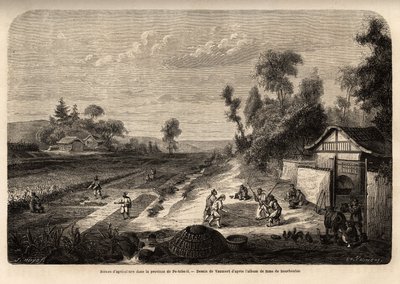 Scènes d