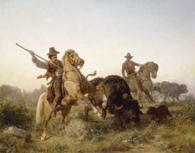 Conduite de buffles d