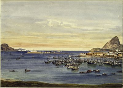 Baie de Rio de Janeiro - Eduard Hildebrandt