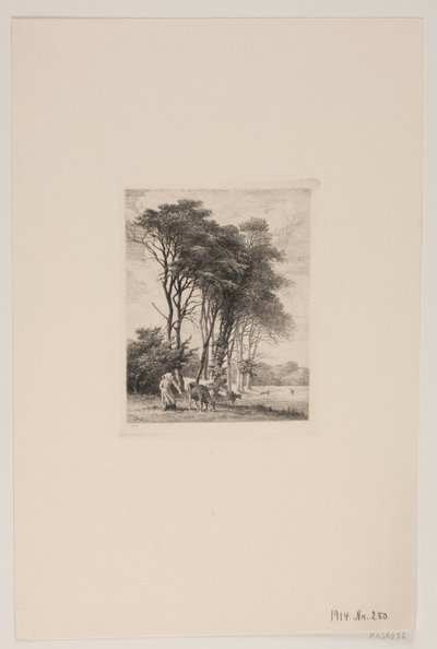 Paysage. Vaches près d