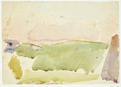 Paysage avec des champs - Edvard Weie