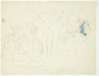 Paysage avec palmiers, Cannes - Edvard Weie