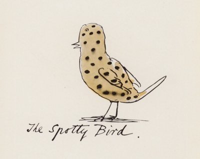 Edward Lear, Le Livre des Oiseaux : L
