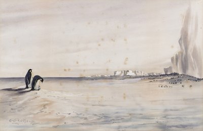 La colonie de manchots empereurs, Cap Crozier - Edward Adrian Wilson