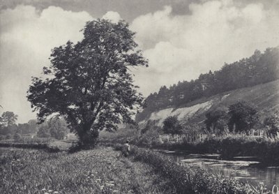 Le grand frêne sur le transporteur principal, Leckford - Edward Alfred Barton