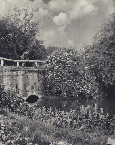 Le pont du canal sur les Frays, Uxbridge - Edward Alfred Barton