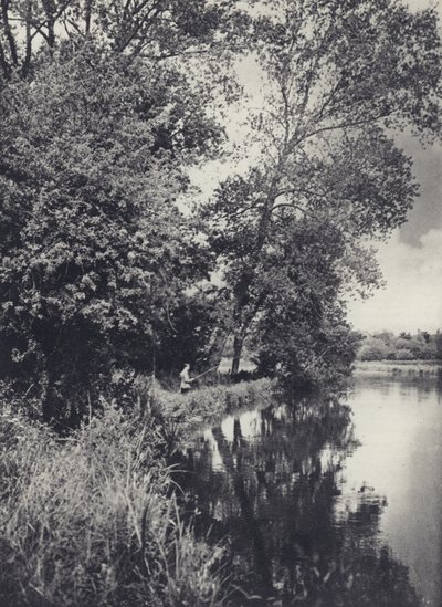 Sous les grands peupliers sur le Houghton Water - Edward Alfred Barton