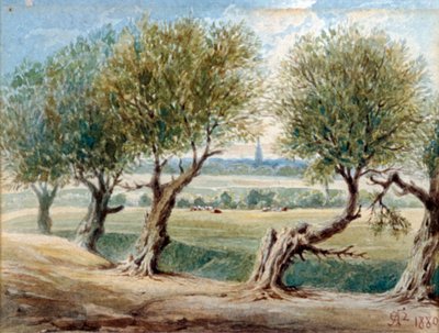 Dernier vestige de la rivière Fleet, ...du côté est de Fleet Road, Hampstead, 1880 - Edward Arthur Heffer