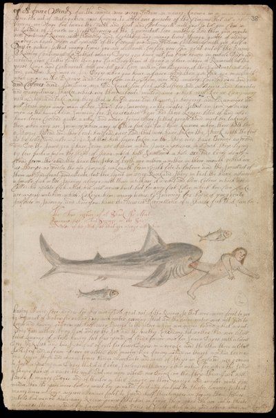 La véritable image d