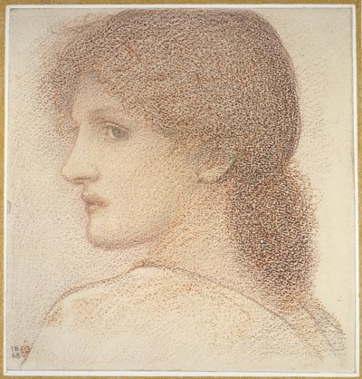 Étude de la tête d
