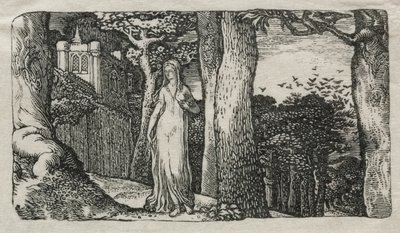 La Dame et les Corbeaux - Edward Calvert