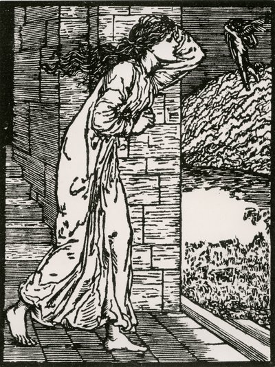 Psyché sortant précipitamment du palais - Edward Coley (after) Burne Jones