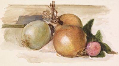 Nature Morte - Étude d
