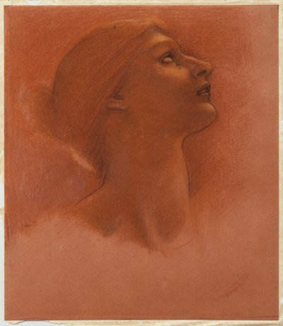 Étude de la Tête d