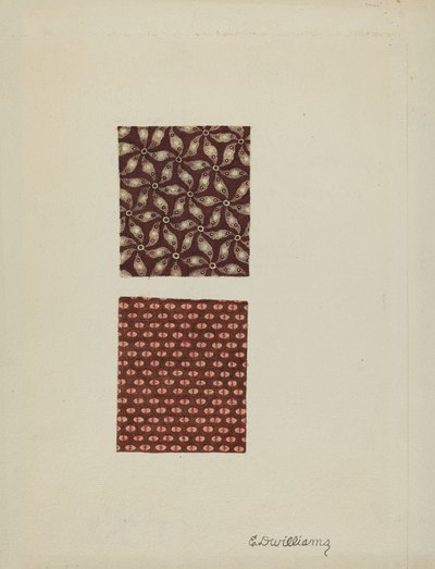 Échantillons de coton imprimé - Edward D. Williams