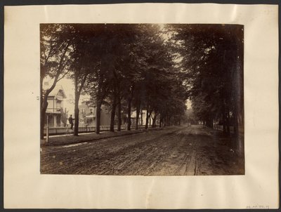 [Rue bordée d