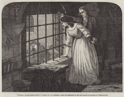Picciola; ou, la fleur de la prison - Edward Henry Wehnert