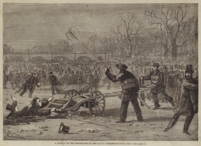 Un Sauvetage sur la Serpentine par les Hommes de la Société Royale Humaine - Edward Hull