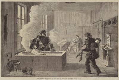 La Maison de Réception de la Société Royale Humaine, Hyde Park - Edward Hull