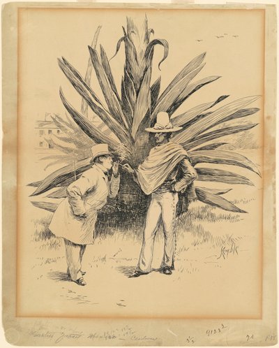 Cactus du Mexique - Edward Kemble