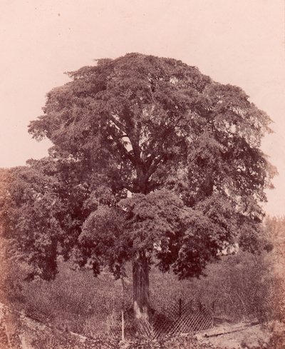 Étude d